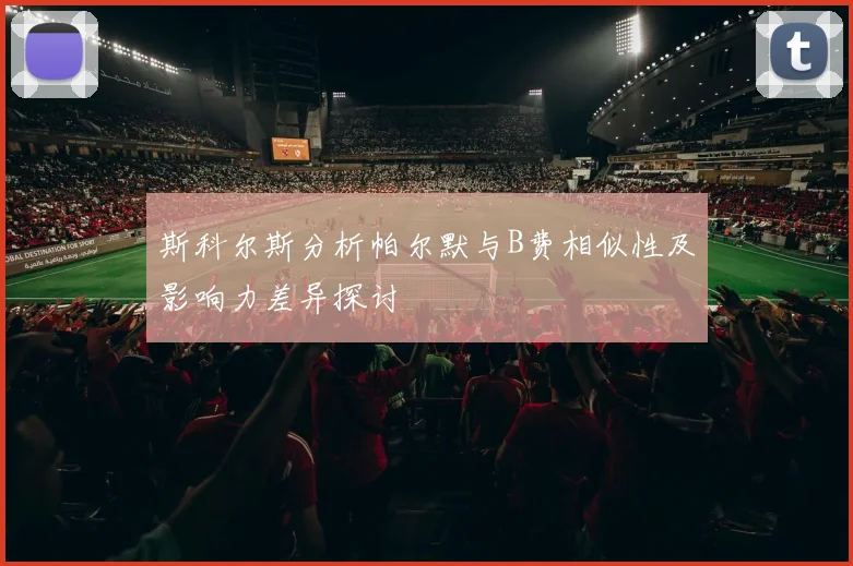斯科尔斯分析帕尔默与B费相似性及影响力差异探讨